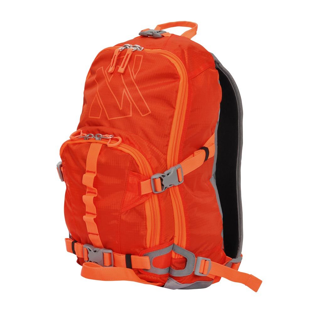 volkl ski backpack